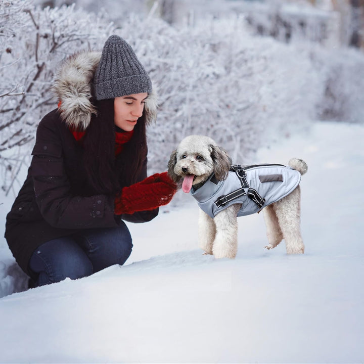 Hunde Winterjacken,Warme Hundemäntel Reflektierend Hundekleidung wasserdichte Welpenweste für kaltes