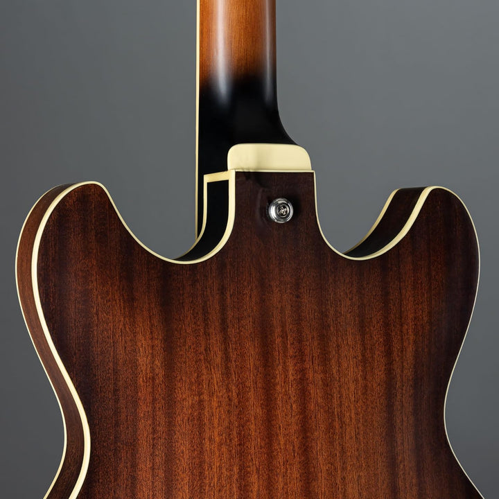 Ibanez AS53-TF Guitars