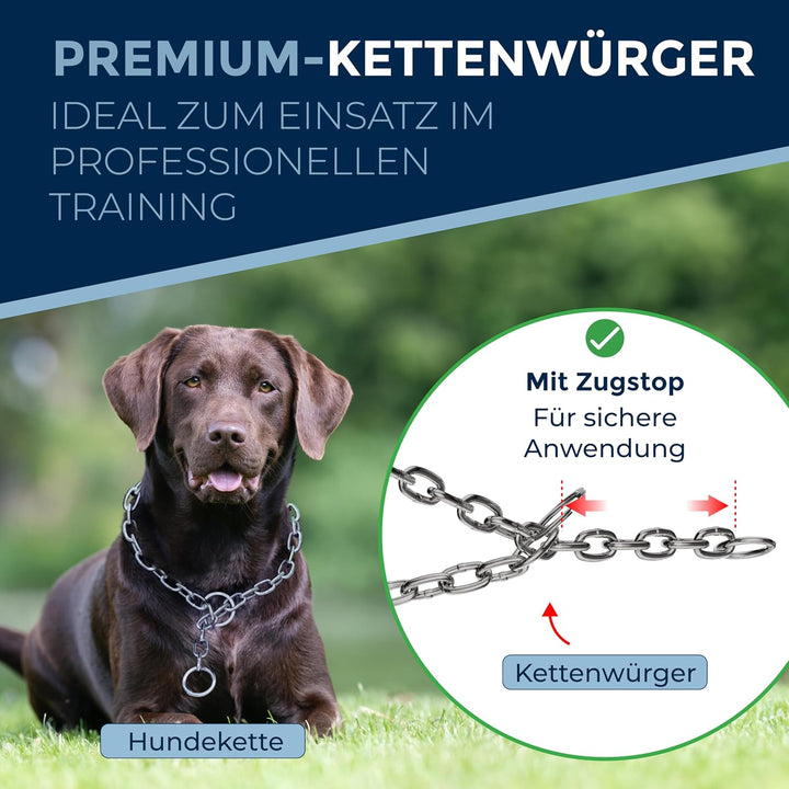 rostfreier Kettenwürger mit Zugstop zum Hundetraining - Hundehalsband Hundekette aus Edelstahl - lan