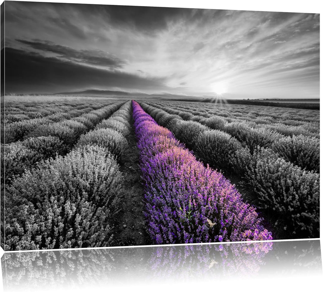 Lavendelfeld in der Provence schwarz/weiss Format: 100x70 auf Leinwand, XXL riesige Bilder fertig ge
