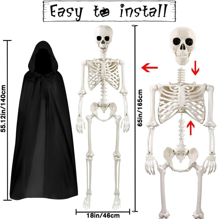 DIYDEC 1 Stück 165cm Halloween Bewegliches Skelett, Ganzkörper Skelett Lebensgrosses Skelett mit Man