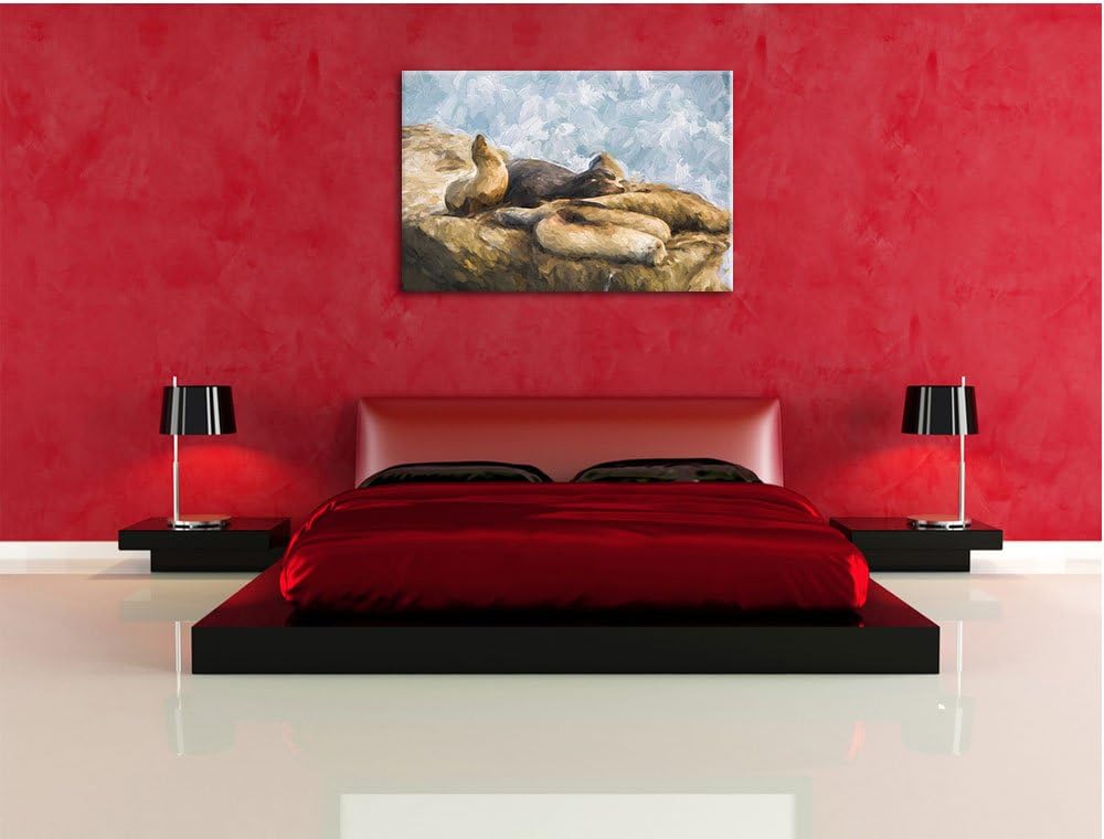 Pixxprint Gruppe von Seelöwen an Einer Bucht als Leinwandbild/Grösse: 100x70 / Wandbild/Kunstdruck/f