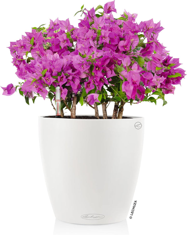 LECHUZA CLASSICO Color 35 weiss 13210 36x36x32.5 cm Weiss, 36x36x32.5 cm Weiss