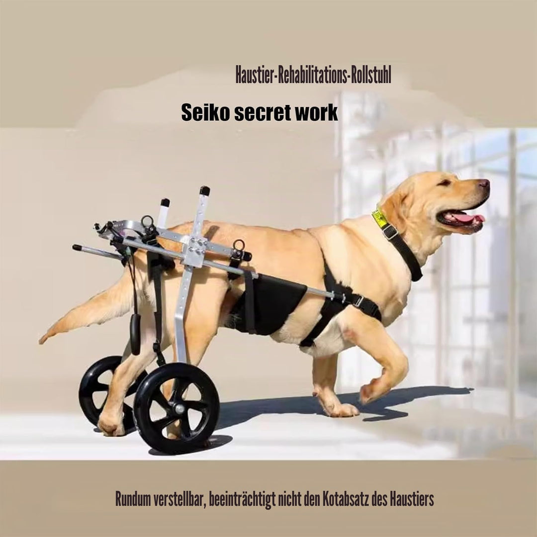 Mittlerer und grosser Hunderollstuhl, Rehabilitationshilfe, Hinterbeinstütze, Hundewagen mit Rädern,