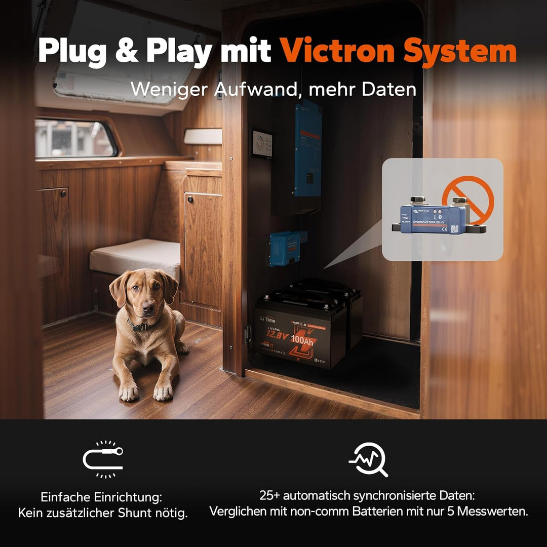 LiTime LiFePO4 12V 100Ah Lithium Batterie Bluetooth mit Victron System, CAN/RS485 Kommunikation, 100