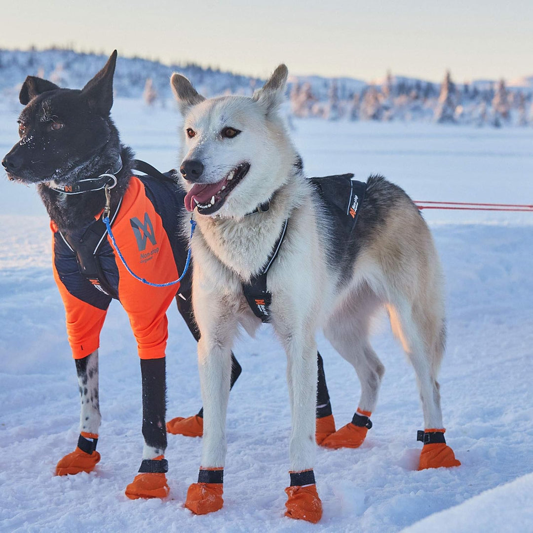 Non-stop dogwear Nansen Nome Harness 5.0 |212| Ergonomisches Zuggeschirr, Grösse:8.5, 8.5