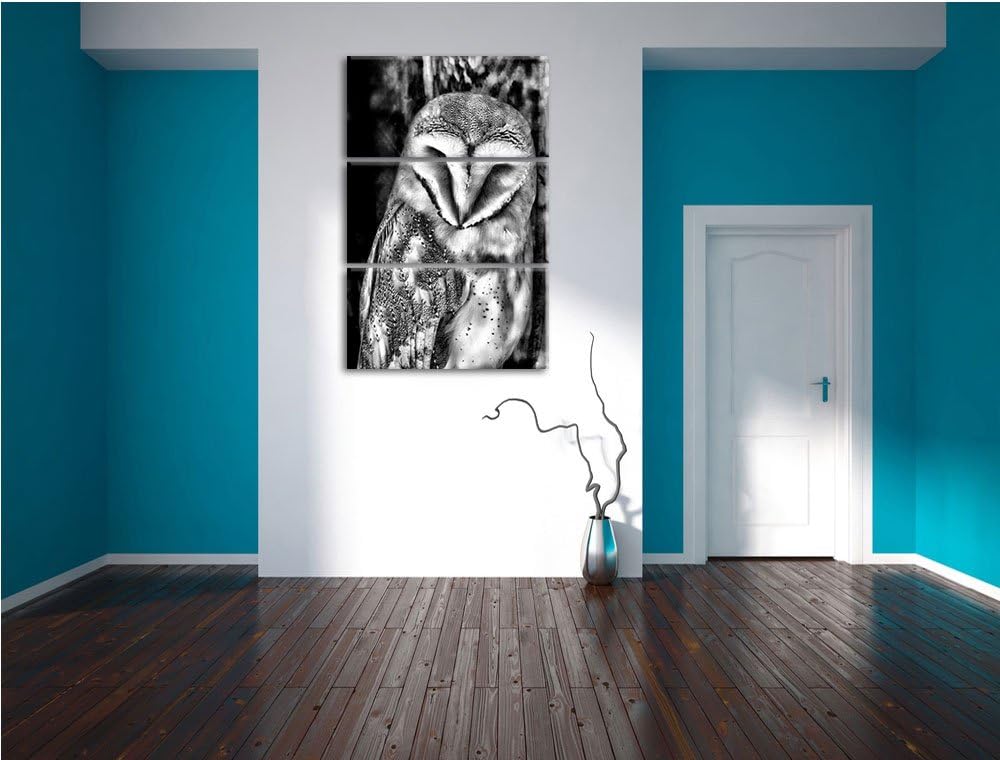 Pixxprint Monocrome, Schleiereule 3-Teiler Leinwandbild 120x80 Bild auf Leinwand