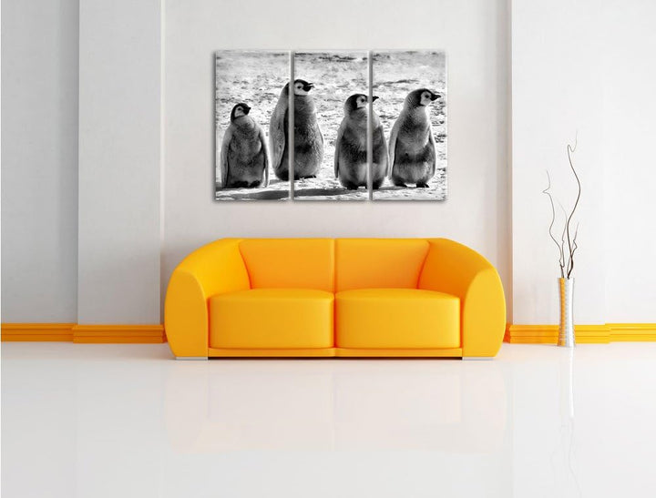 Pixxprint Kaiserpinguinküken als Leinwandbild/Grösse: 3 Teilig (120x80) cm/Wandbild/Kunstdruck/ferti