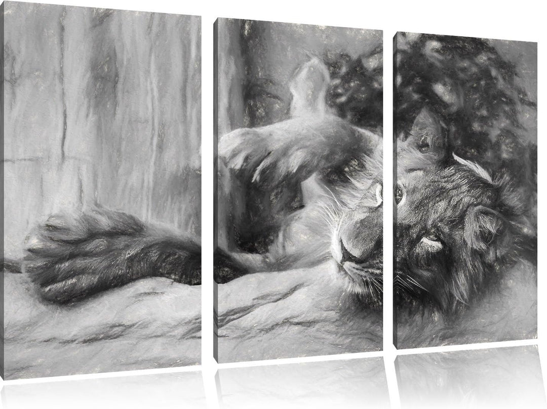 Pixxprint verspielter Kleiner Löwe Kunst / 3-Teilig/Gesamtmass 120cm Leinwandbild bespannt auf Holzr