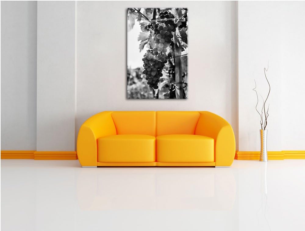 Pixxprint Weinberg im Abendlicht/Format: 100x70cm / Leinwandbild fertig bespannt Wandbild Kunstdruck