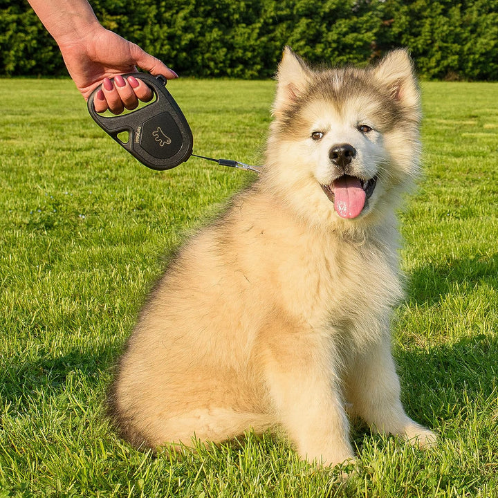 Ferplast Hundeleine Flippy ONE, Rollleine kleine Hunde bis 15 kg. Ausziehbares Gurtband max. 4 m. Ei