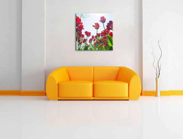 Rosenfeld, Format: 70x70 auf Leinwand, XXL riesige Bilder fertig gerahmt mit Keilrahmen, Kunstdruck