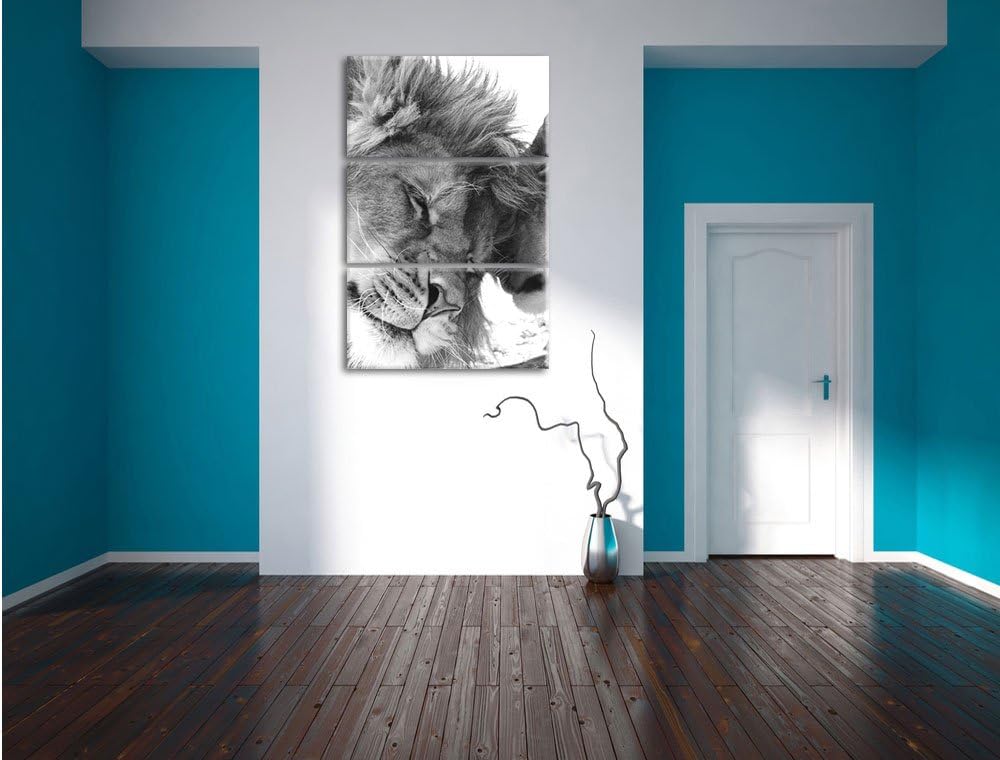 Pixxprint Bezauberndes kuschelndes Löwenpaar als Leinwandbild/Grösse: 3 Teilig (120x80) cm/Wandbild/