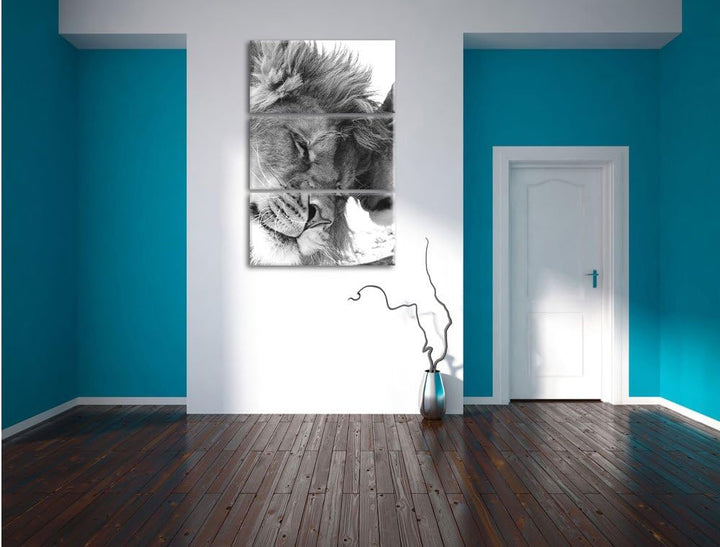 Pixxprint Bezauberndes kuschelndes Löwenpaar als Leinwandbild/Grösse: 3 Teilig (120x80) cm/Wandbild/