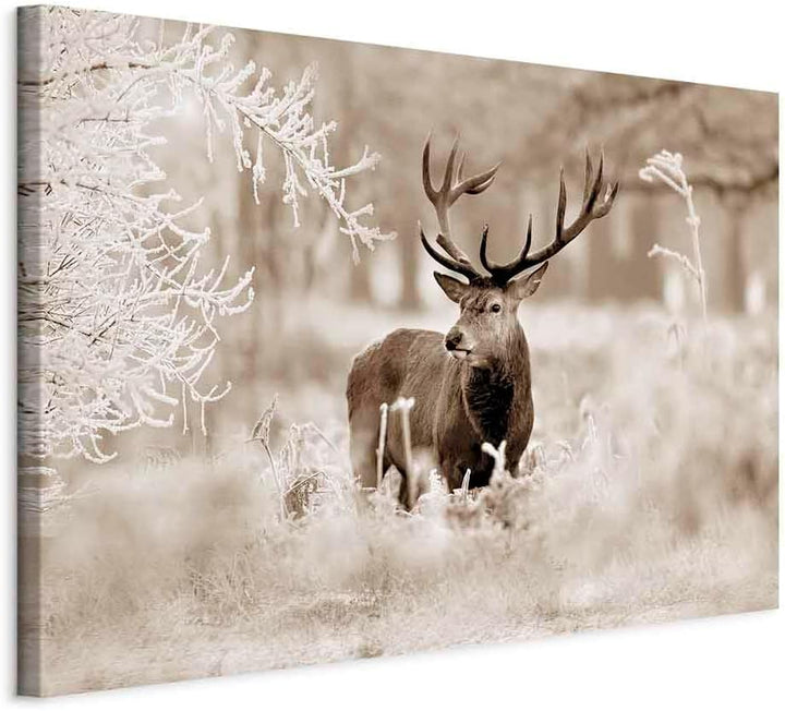 murando - Bilder Hirsch 90x60 cm Vlies Leinwandbild 1 tlg Kunstdruck modern Wandbilder XXL Wanddekor
