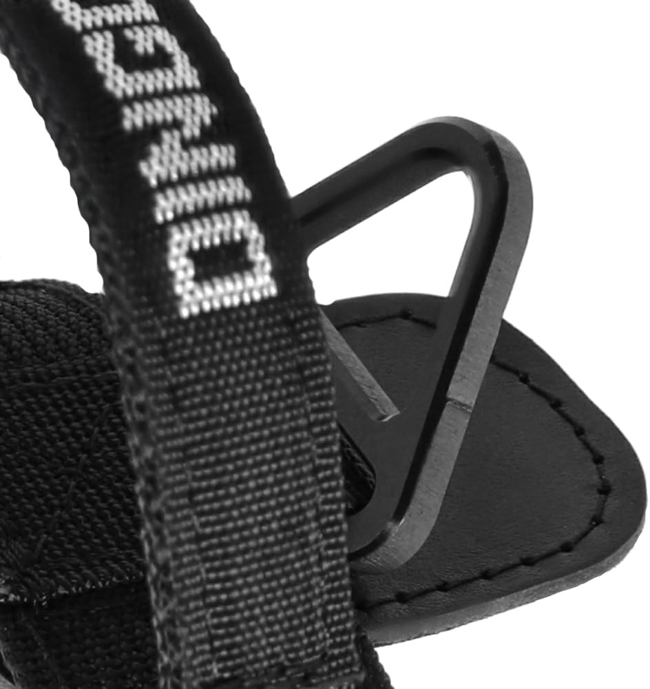 Dingo Gear Hundehalsband mit Cobra Schnalle und Griff, Farbe Schwarz, Band Breite 4 cm Länge 49-59 c