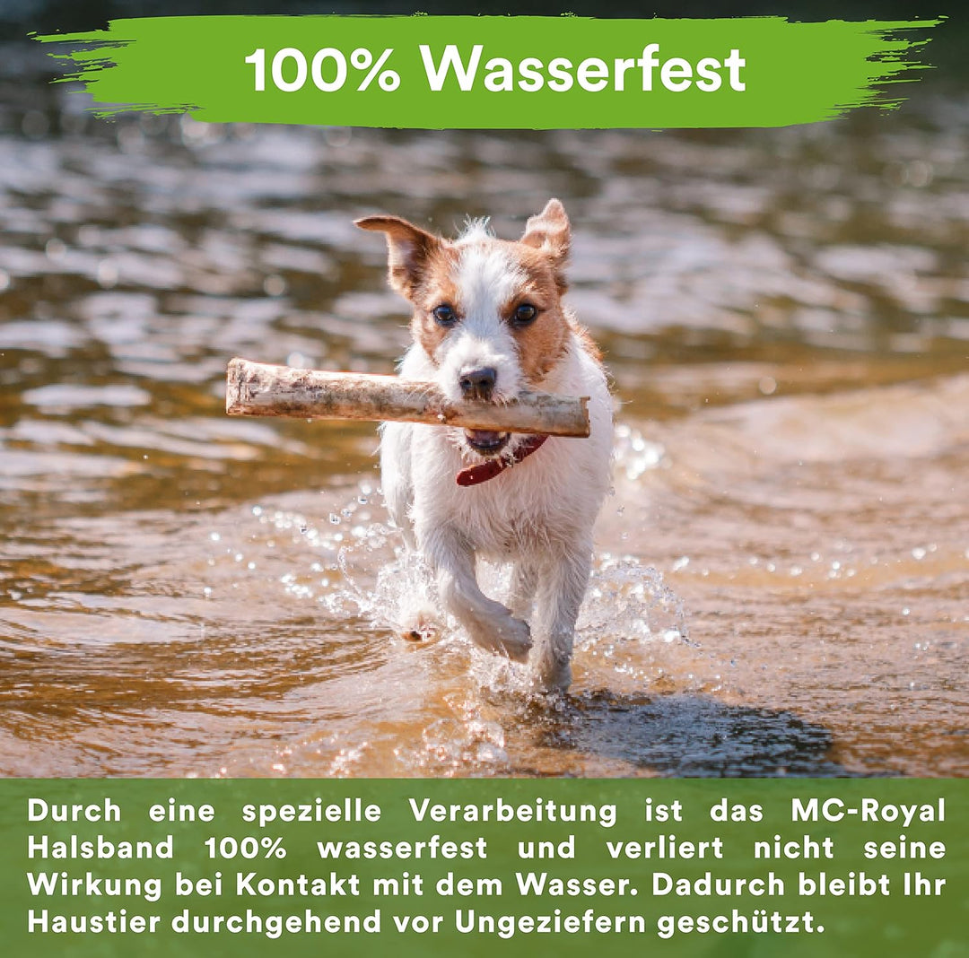 MC-Royal® Zeckenhalsband für kleine Hunde und Katzen - Effektiver Schutz vor Ungeziefern - wasserdic