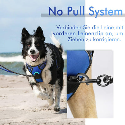 rabbitgoo Hundegeschirr Mittelgrosse Hunde Anti Zug Geschirr Hund mit Kontrolle No Pull Verstellbar