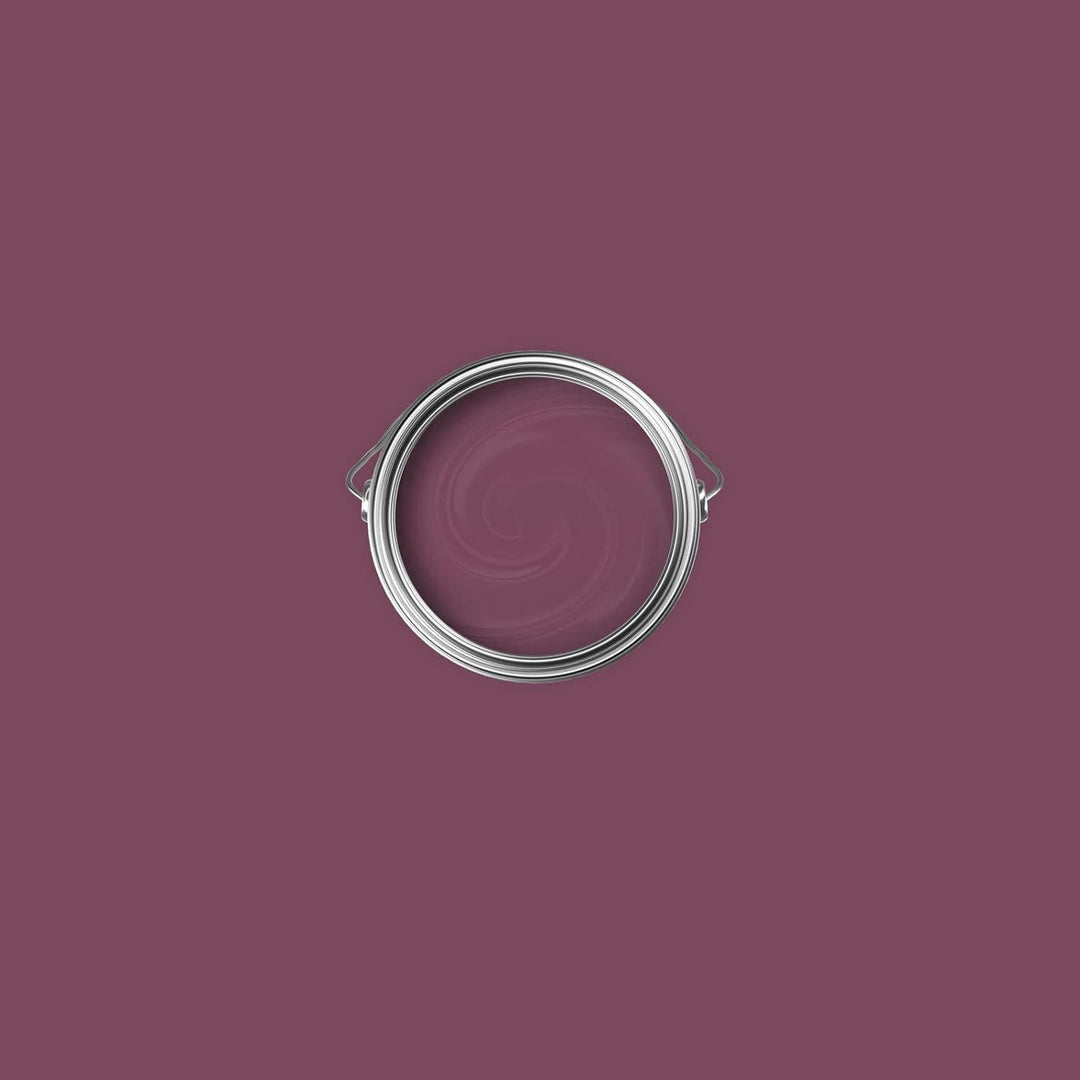 New Walls Premium Wandfarbe Violett, Lila Liquid Luxury Dispersionsfarbe für Innenräume – 1 L 1000 m