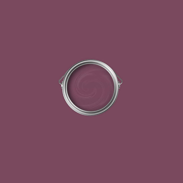 New Walls Premium Wandfarbe Violett, Lila Liquid Luxury Dispersionsfarbe für Innenräume – 1 L 1000 m