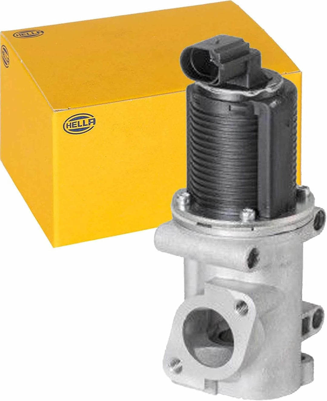 HELLA 6NU 010 171-541 AGR-Ventil - elektronisch - 2-polig - mit Dichtungen