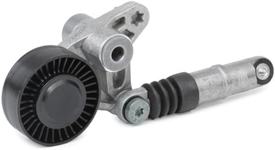 SKF VKM 31300 Spannrollensatz für Nebentrieb