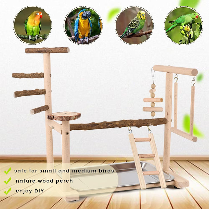 Wellensittich Spielplatz Vogel-Spielplatz mit Spielzeug Leiter Erklimmen Schaukel und Tablett für Ny
