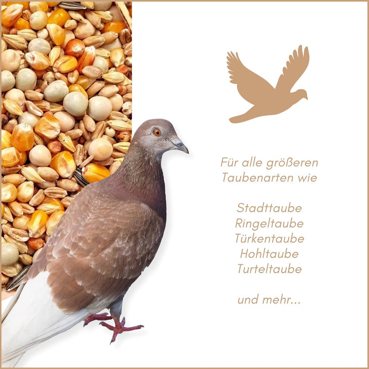 SUPRAVIT Taubenfutter 25kg Basis | nahrhaftes Allroundfutter für Tauben | Klassische Futter Körnermi