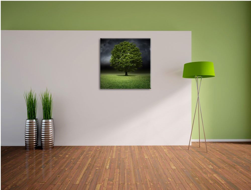Pixxprint einzelner Baum auf grüner Wiese, Format: 70x70 auf Leinwand, 70x70