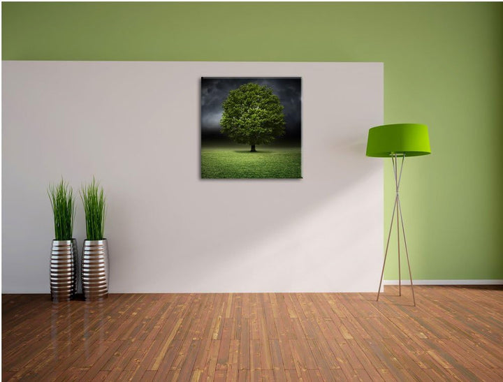 Pixxprint einzelner Baum auf grüner Wiese, Format: 70x70 auf Leinwand, 70x70