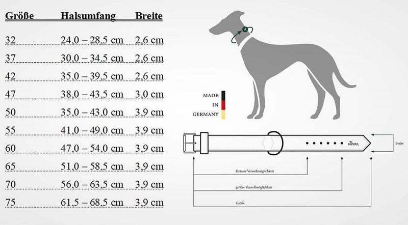 HUNTER SWISS Hundehalsband, Leder, hochwertig, schweizer Kreuz, 37 (XS-S), schwarz schwarz 37 (XS-S)
