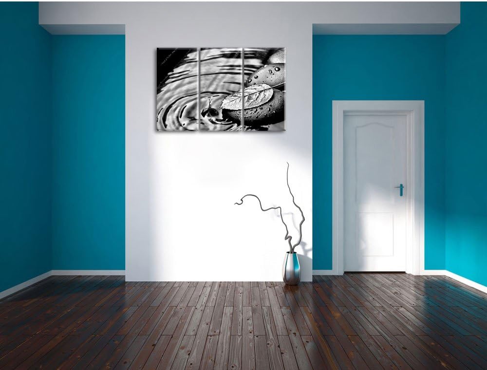 Pixxprint Stein mit Blatt als Leinwandbild/Grösse: 3 Teilig (120x80) cm/Wandbild/Kunstdruck/fertig b