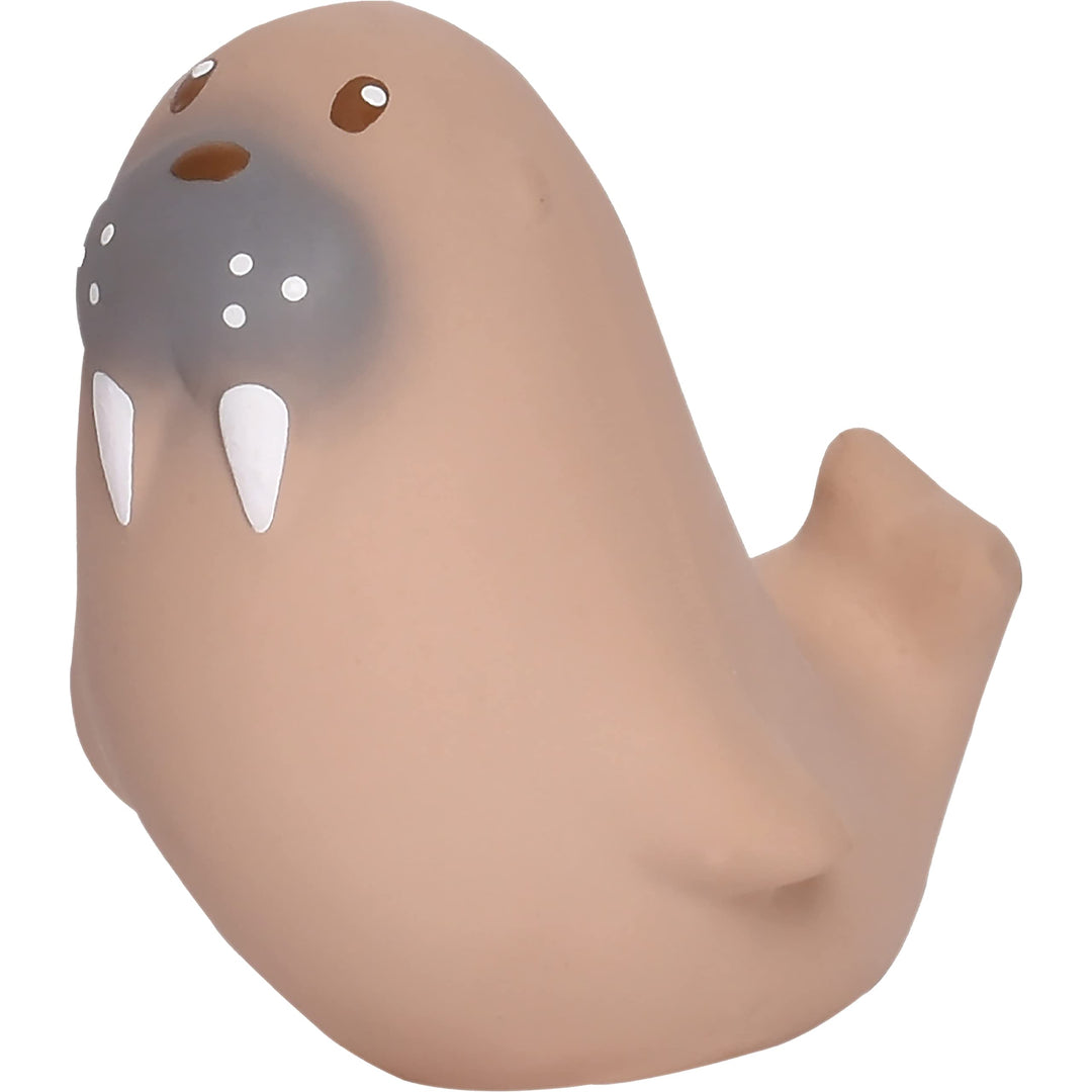 Tikiri 8594305 - Naturkautschuk Rassel in Geschenkbox, Seelöwe, Badespielzeug, für Babys und Kinder