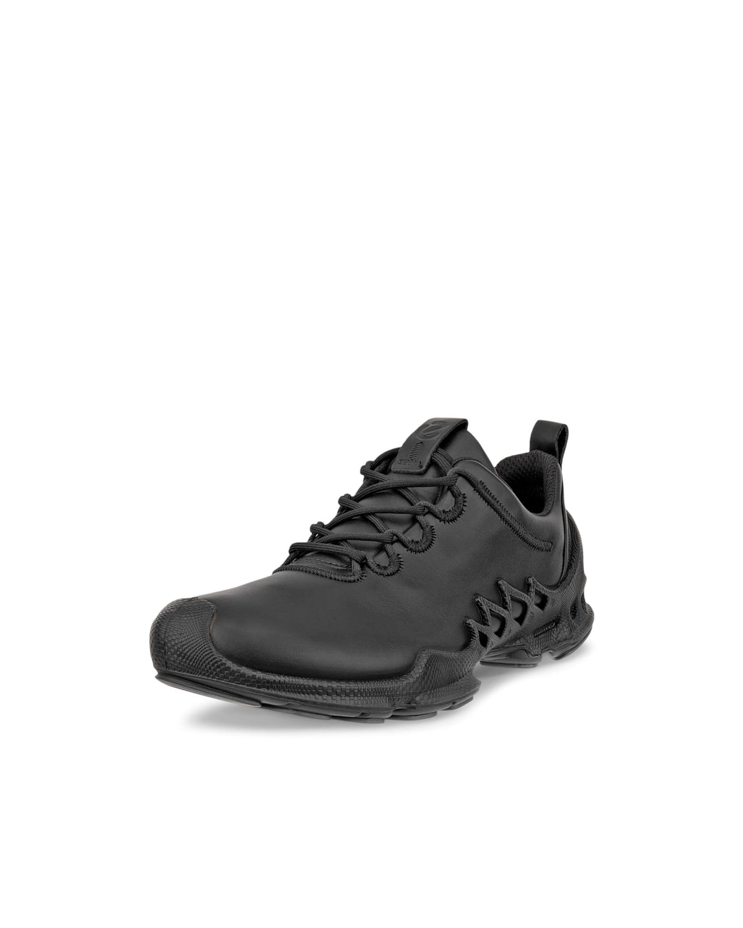ECCO Herren Biom Aex Hiking Shoe 39 EU Schwarz, 39 EU Schwarz