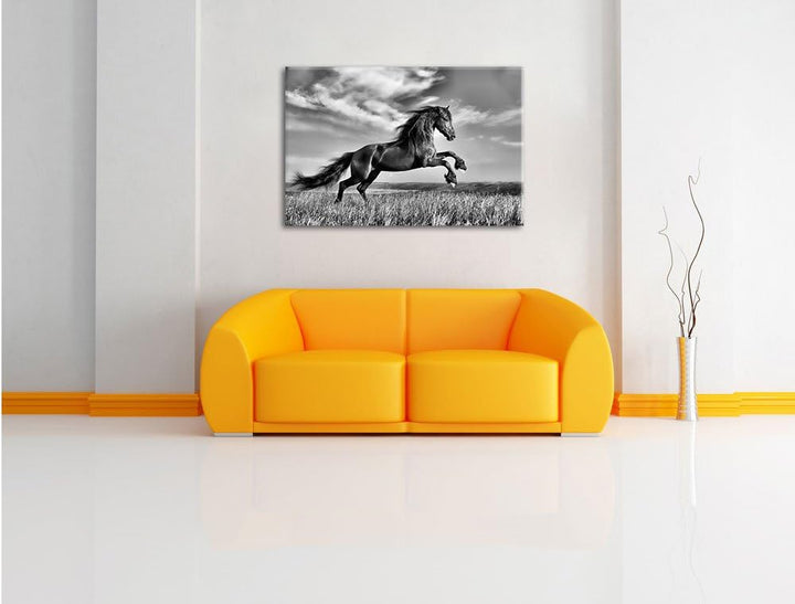 Pixxprint Monocrome, Schwarzer Hengst auf grünen Wiese, Format: 100x70 auf Leinwand, 100x70