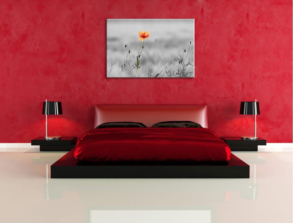 Rote Mohnblume im Feld schwarz/weiss Format: 100x70 auf Leinwand, XXL riesige Bilder fertig gerahmt