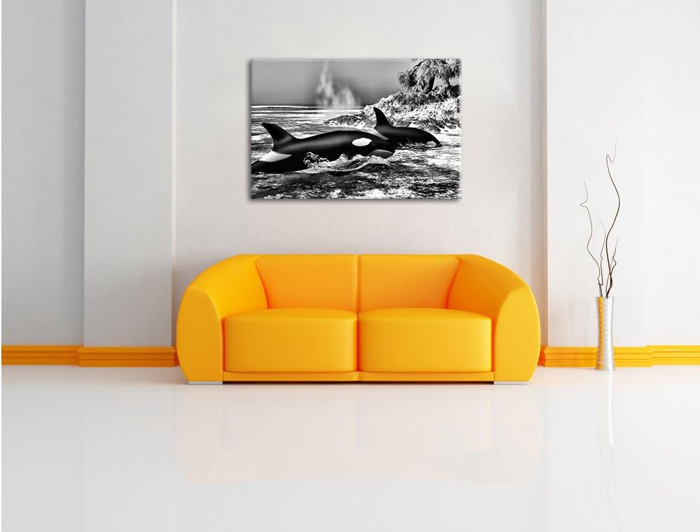 Pixxprint Monocrome, Orcas vor Insel, Format: 100x70 auf Leinwand, 100x70