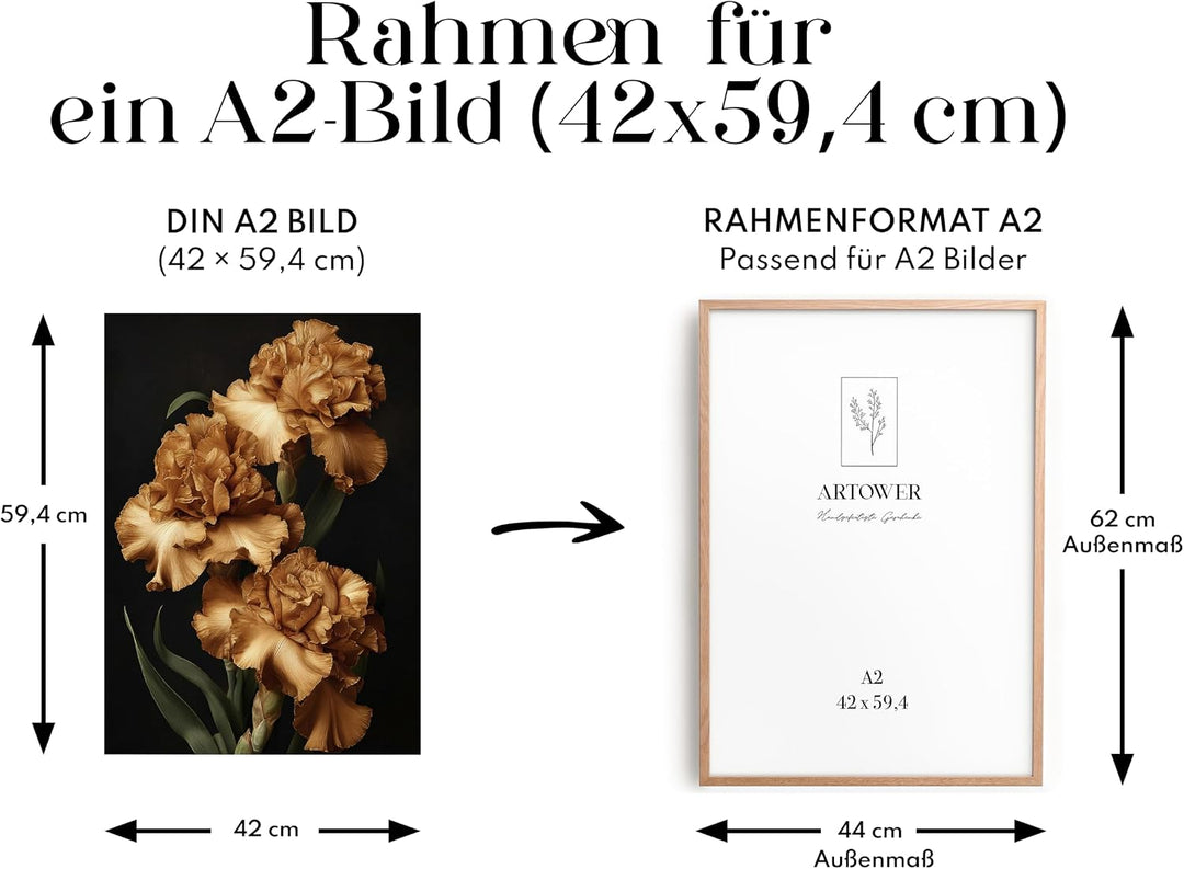 Artower® Bilderrahmen für DIN A2 42 x 60 cm Natur Holz Eiche Dünner Rahmen | Posterrahmen Gross Coll