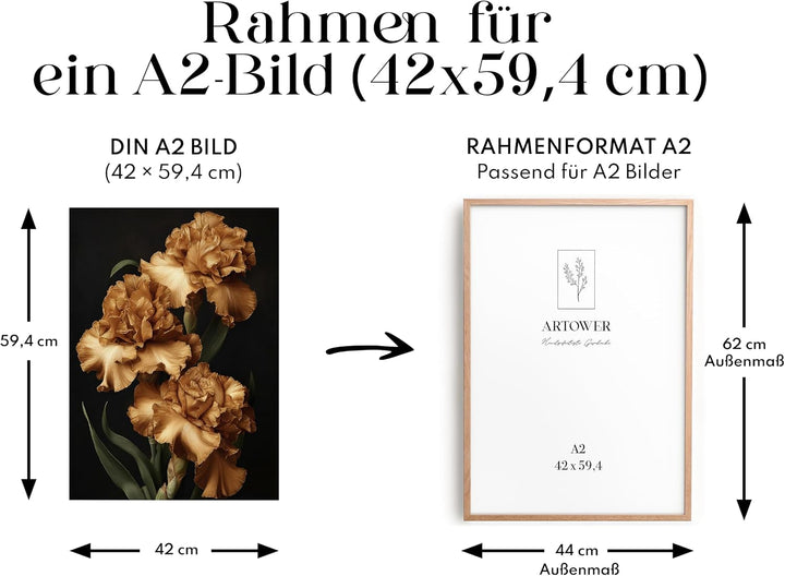 Artower® Bilderrahmen für DIN A2 42 x 60 cm Natur Holz Eiche Dünner Rahmen | Posterrahmen Gross Coll