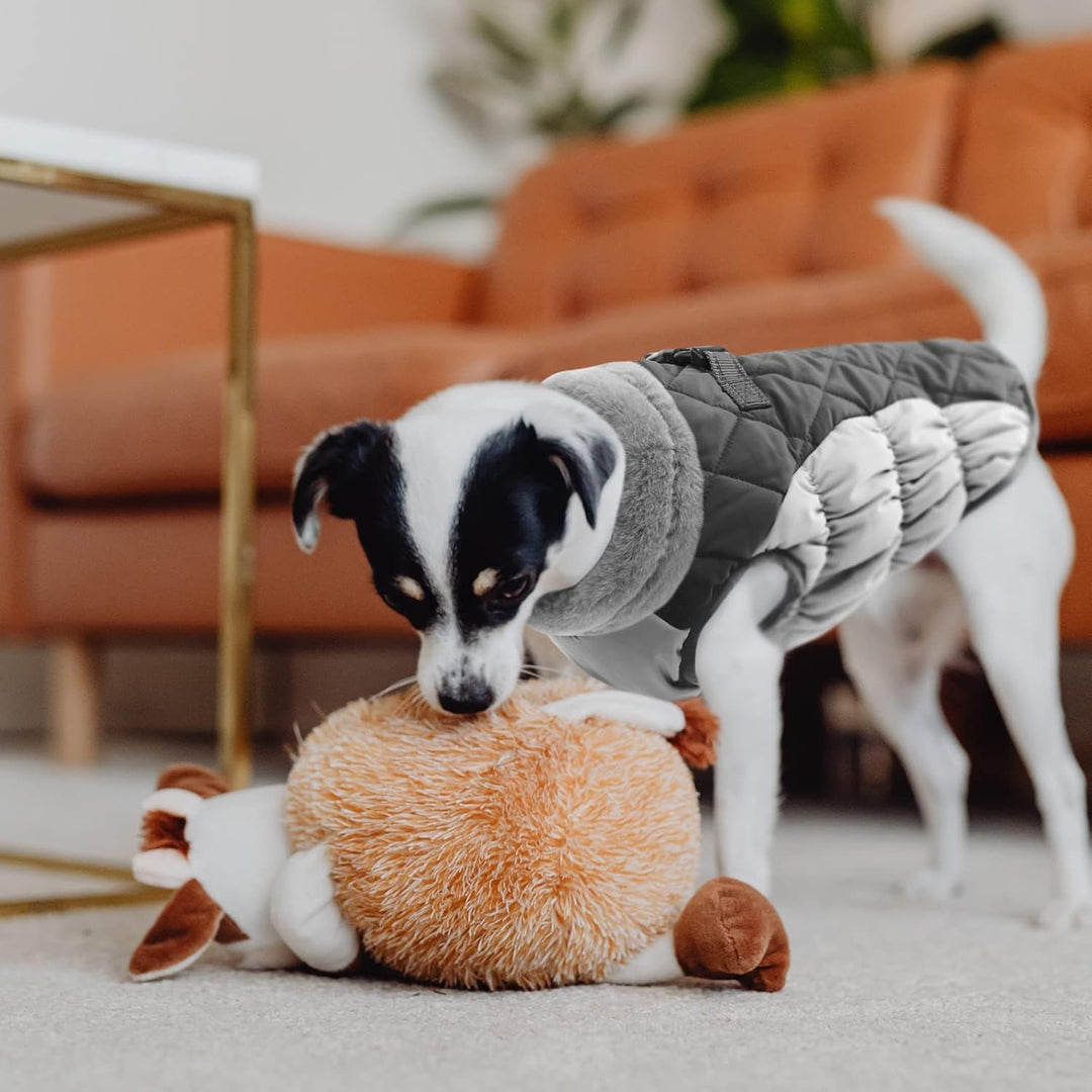 Hundemantel Winter,Hundemantel Grosse Hunde,Hundejacke mit Geschirr, Wasserdicht Wintermantel Hund m