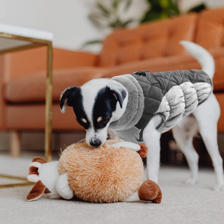 Hundemantel Winter,Hundemantel Grosse Hunde,Hundejacke mit Geschirr, Wasserdicht Wintermantel Hund m