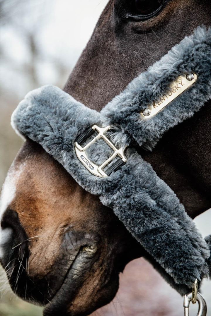 Kentucky Halfter LAMMFELL Transport Grösse Full, Farbe grau