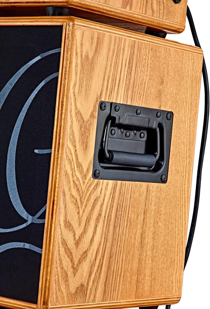 ORTEGA Acoustic Amplification Lautsprecherbox - 150W/4 OHM 8" Bass-und Mittentreiber inkl. Tragetasc