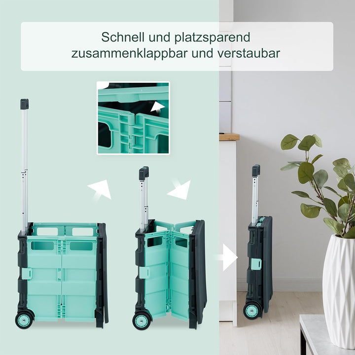 Relaxdays Einkaufstrolley, klappbar, Einkaufskorb mit Rollen, Deckel & Teleskopgriff, bis 35 kg, Rol