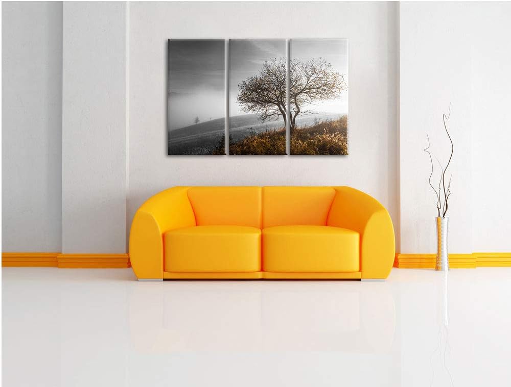 Einsamer Baum auf Berg schwarz/weiss 3-Teiler Leinwandbild 120x80 Bild auf Leinwand, XXL riesige Bil