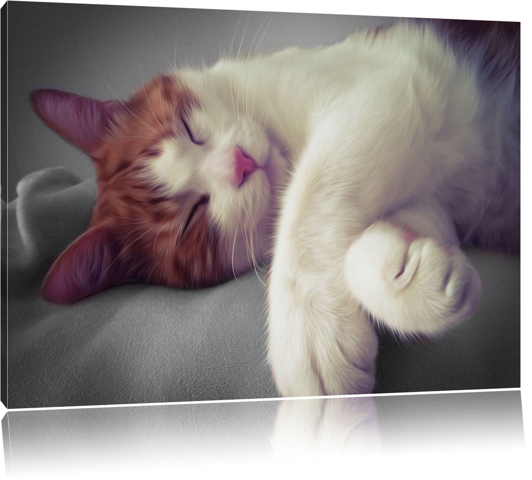 schlafende Katze auf Decke schwarz/weiss Format: 100x70 auf Leinwand, XXL riesige Bilder fertig gera