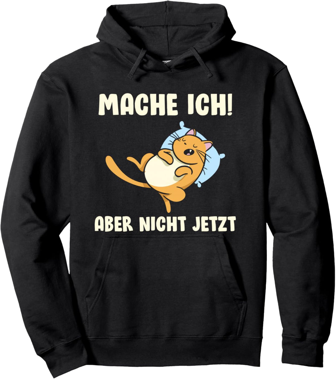 Mache ich aber nicht jetzt Pullover Hoodie
