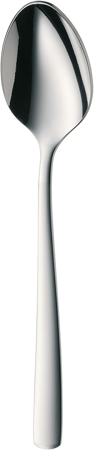 WMF Boston Edelstahl Besteck Set 6 Personen, Essbesteck Set 24 teilig, Monobloc-Messer, Cromargan Ed