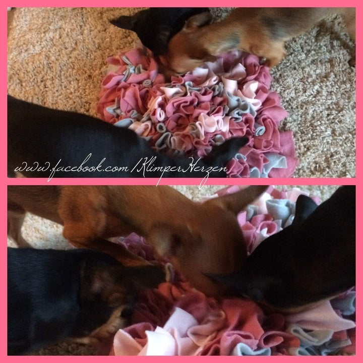 Schnüffelteppich, Schnüffelmatte, Schnüffelwiese, Hund,Katze, Training, Spielzeug, hochwertige Handa