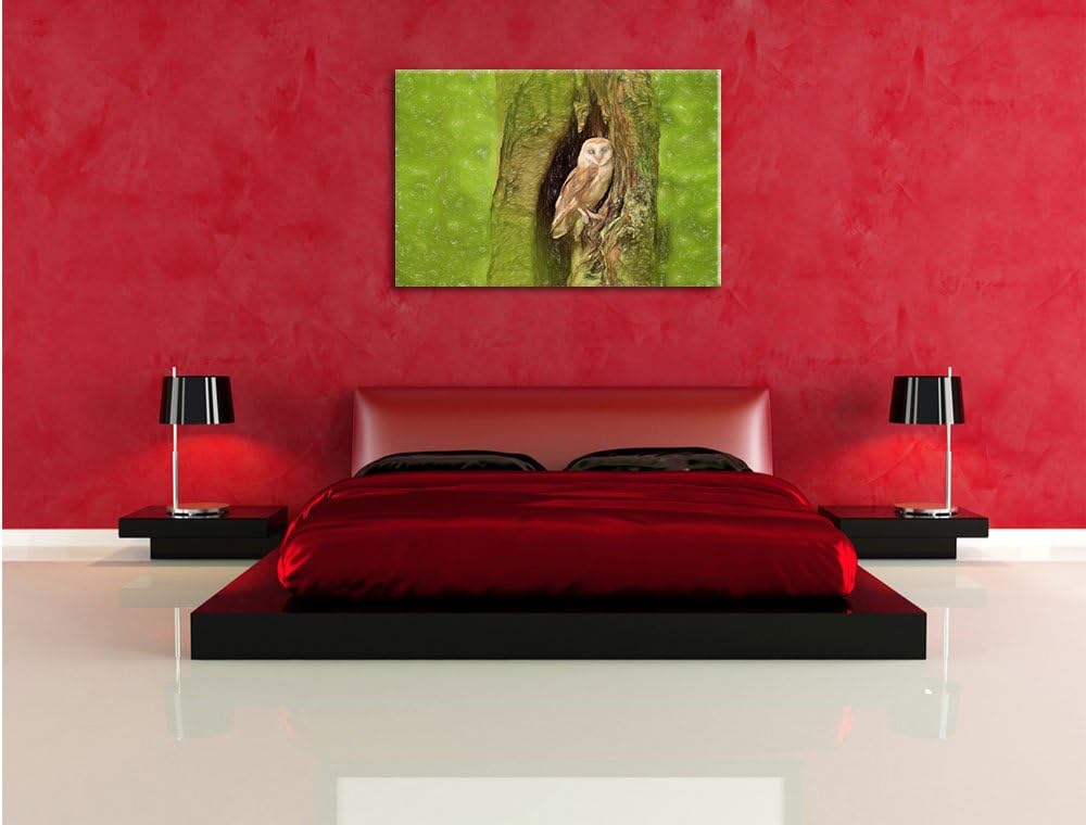 Pixxprint Schleiereule in der Baumhöhle Kunst Buntstift Effekt, Format: 100x70 auf Leinwand, XXL rie